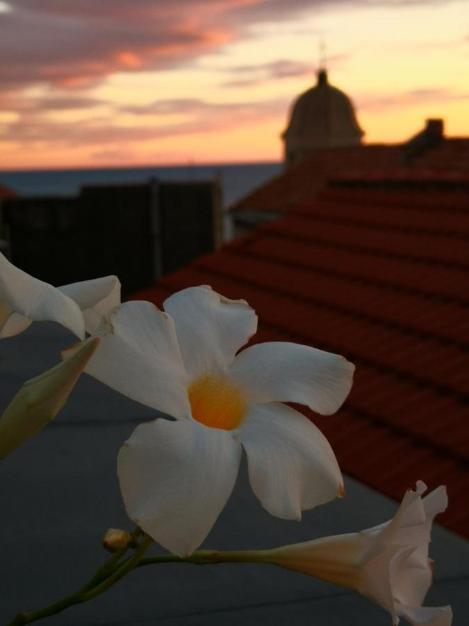 Bouquet Di Note Otel Cervo Dış mekan fotoğraf
